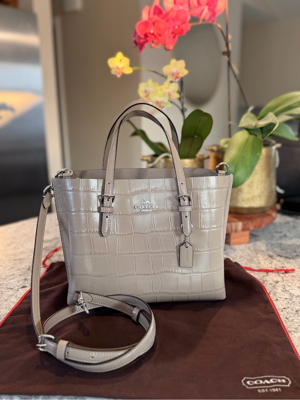 COACH Mollie Tote Bag 25 Stone Croc Leather Crossbody Style CW017